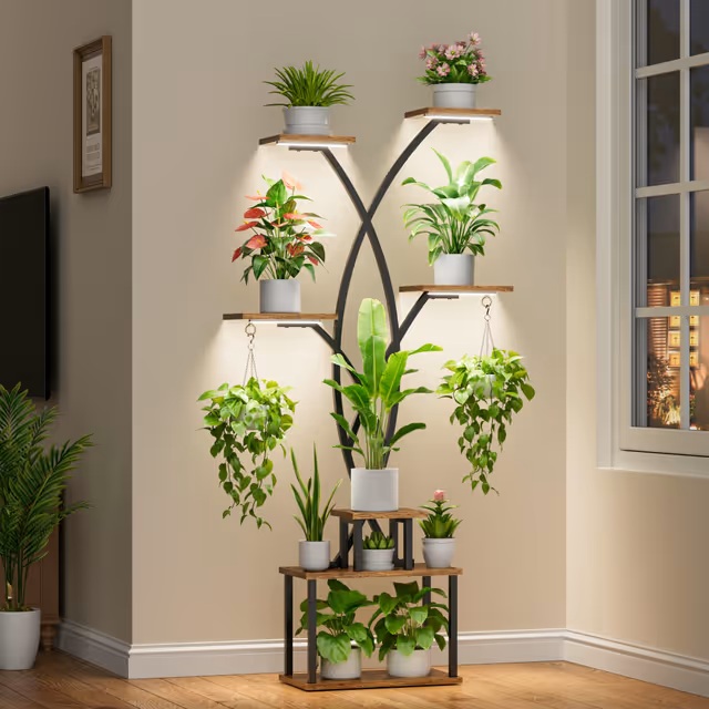 Augalų Lentyna 167cm